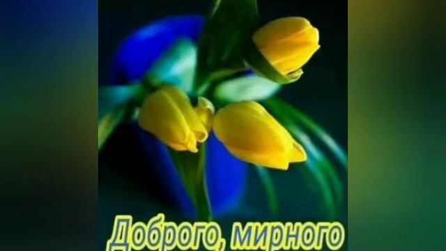Доброго, мирного вечора! смотреть онлайн