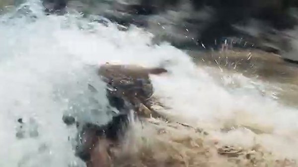 Планета обезьян Новое царство 2024 смотреть онлайн vid-content.com