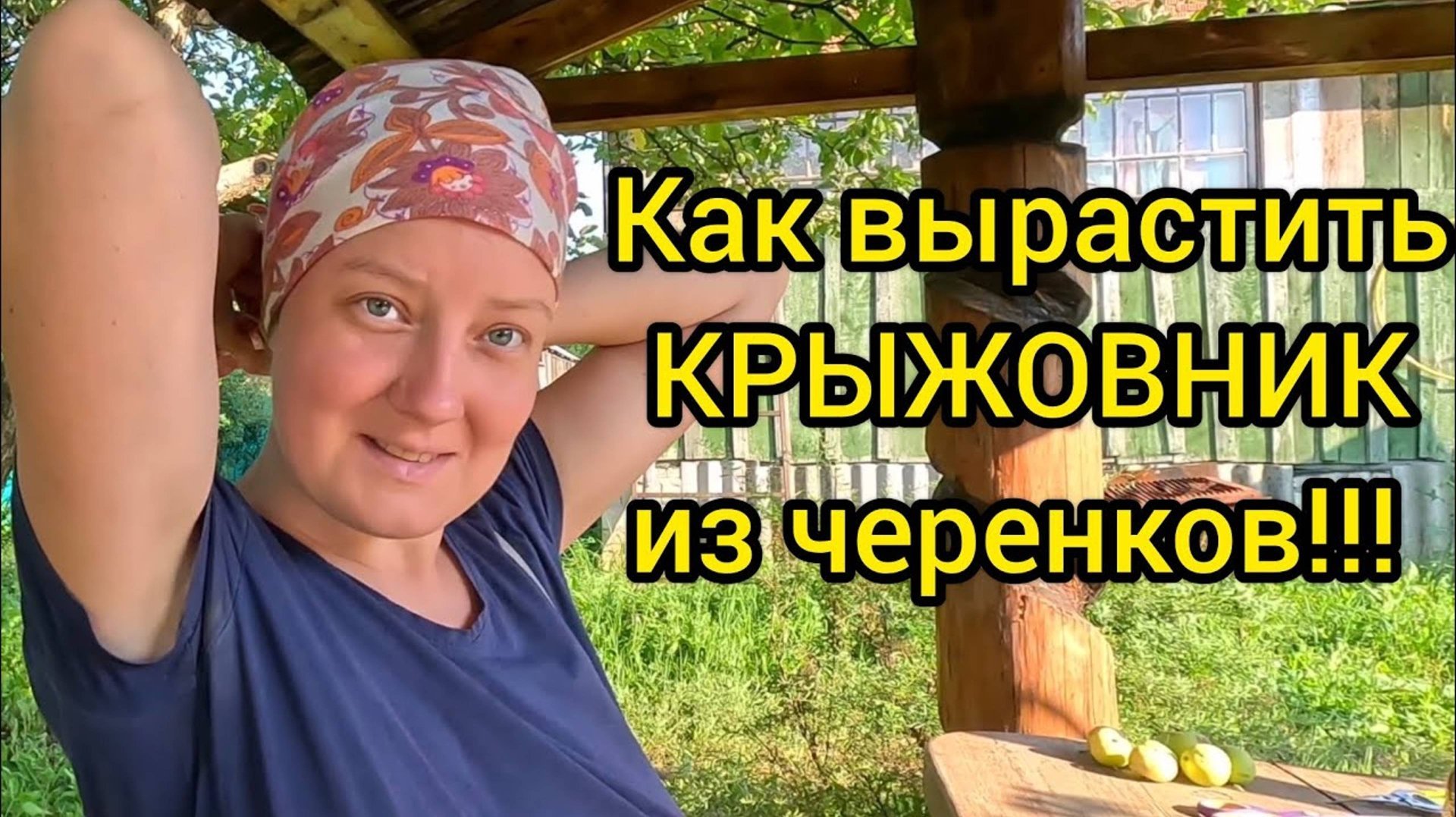 УРАА ГОРЧИЦА ЗАКОЛОСИЛАСЬ!! Семья в деревне. Занимаемся присадкой смородины. Природа. смотреть онлайн