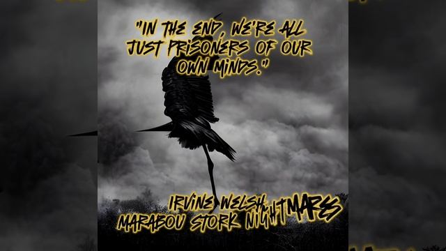 Irvine Welsh, Marabou Stork Nightmares #shorts #books #quotes #cultclassics #dark смотреть онлайн