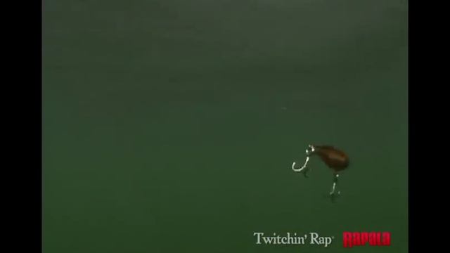 Isca Artificial Rapala Twitchin' Rap