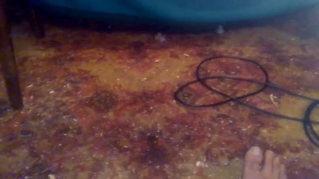 Вот такие мыши в России! Смотреть всем! Ржака смотреть онлайн