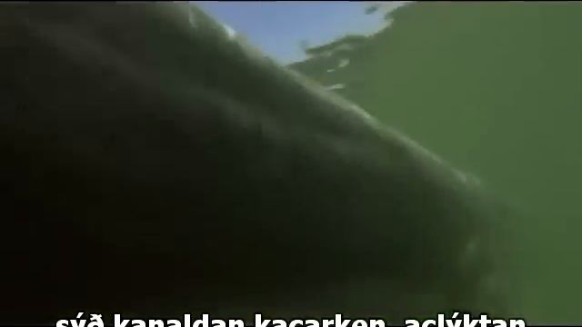 Moeritherium escape . смотреть онлайн