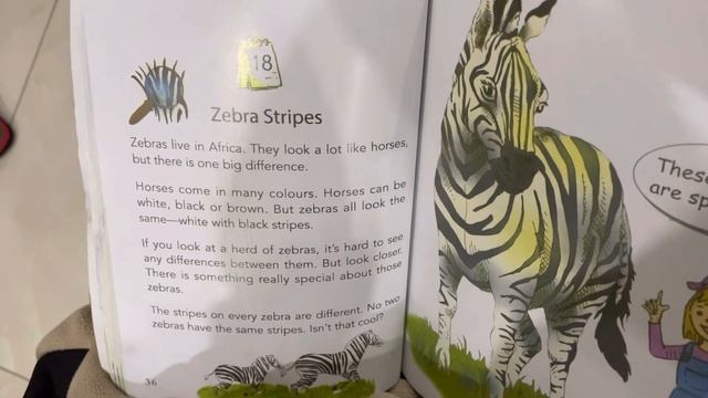 Zebra’s stripes - one story a day смотреть онлайн