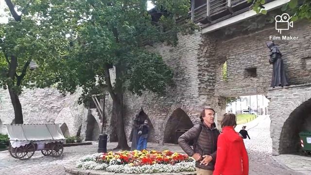Прогулки с Ириной. смотреть онлайн
