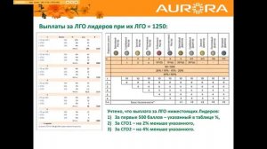 Елена Абрамова  Маркетинг план компании 'Аврора'