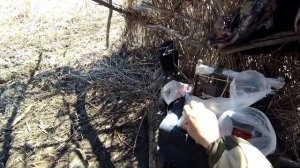 Весенняя охота с чучелами на селезня 2019