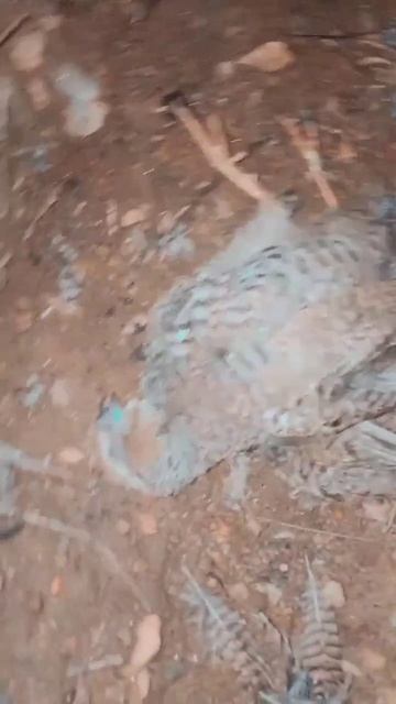 5 February 2023 смотреть онлайн