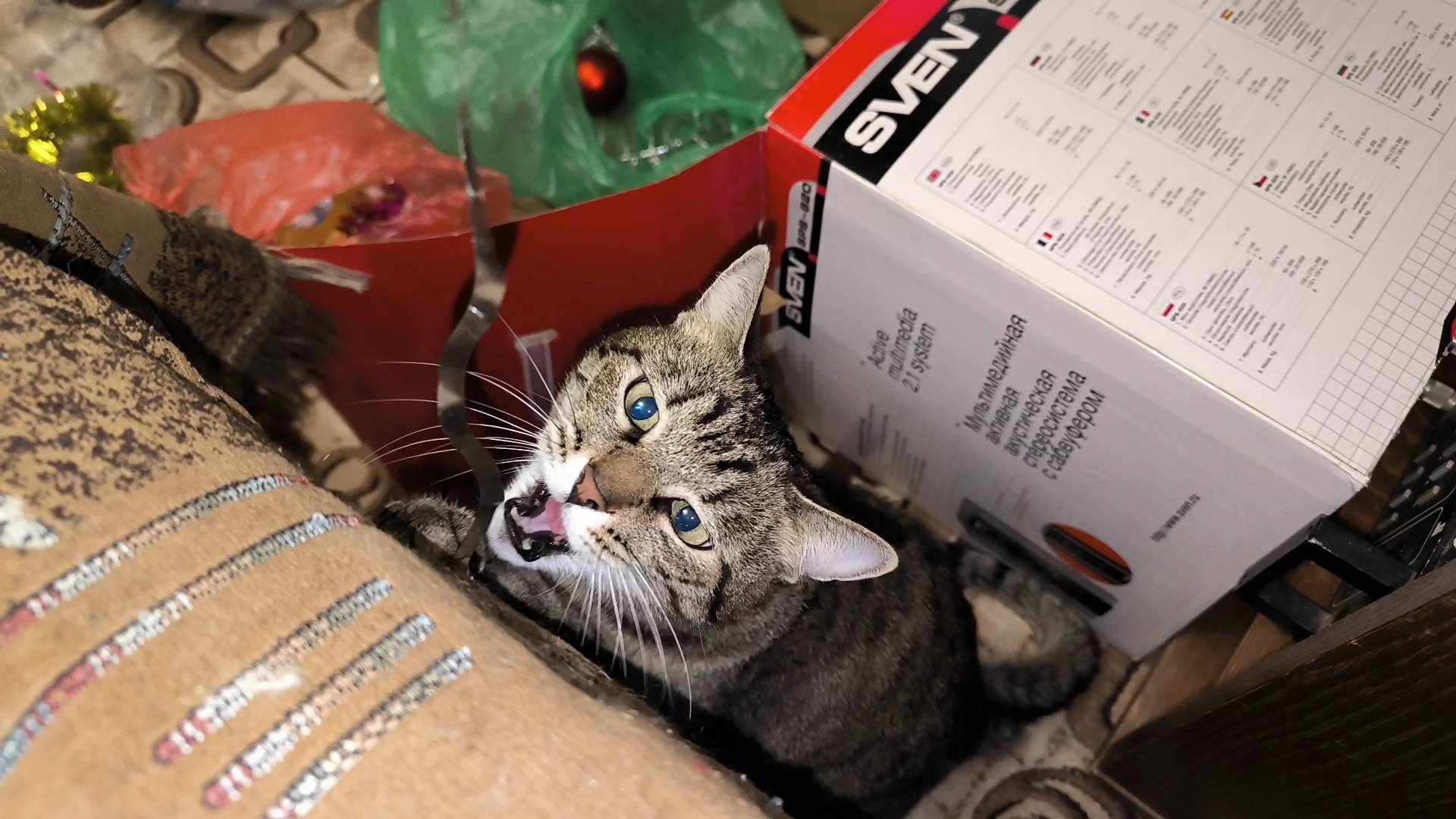 Кошка нападает на новогодний дождик смотреть онлайн