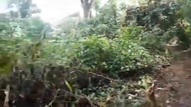 FARM LOT FOR SALE-3,500sqm San Miguel pila Laguna Philippines смотреть онлайн