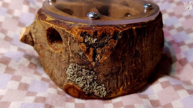 [Mrówki/Unboxing] Gniazda od Foranto смотреть онлайн