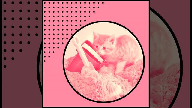 Видения (Спящие кошки) смотреть онлайн