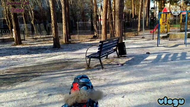 Всем Благополучия и успеха!Кормим голубей 🕊️😍@Suman_Lady_cake смотреть онлайн