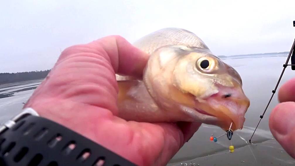 ПОКЛЁВКА НА "ВЕДЬМУ" смотреть онлайн