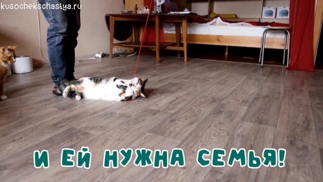 Сильвия смотреть онлайн