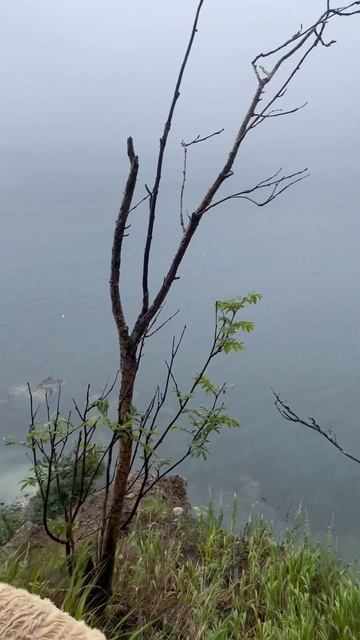 В ожидании китов #шантарскиеострова #шантары #киты #туристссср #охотскоеморе смотреть онлайн