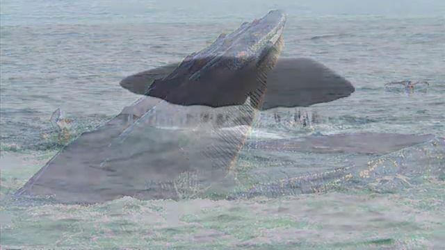 The Dubliners - The Last Of The Great Whales смотреть онлайн