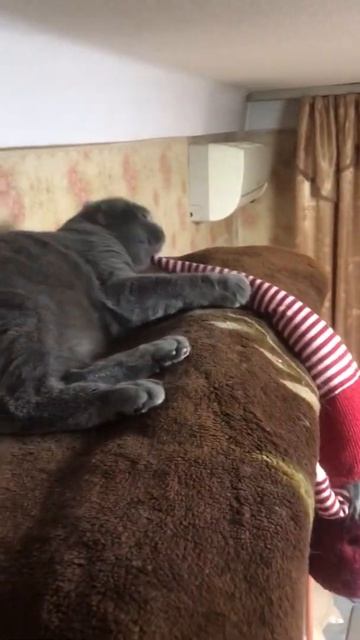 Крепкий сон смотреть онлайн