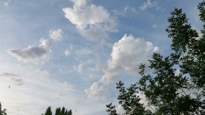 Звуки лета-СТРИЖИ🥰