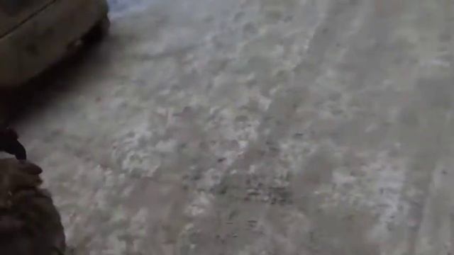Бэлла едит в 1раз на автобусе 😅 смотреть онлайн