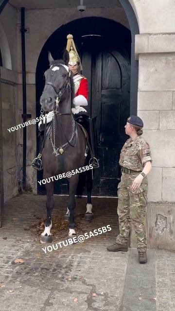 Royal Guard Horse Throws Tantrum After Failing to Recognize the Soldier смотреть онлайн