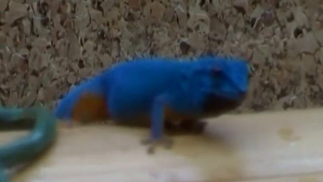 l.williamsi смотреть онлайн