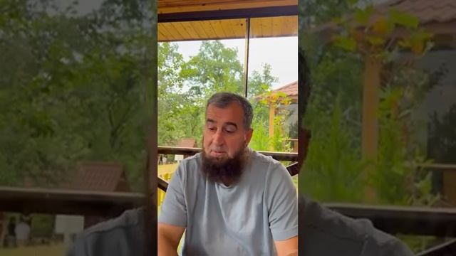 О братьях у которых нет времени для требования знаний. Кого советуете из русскоязычных студентов? смотреть онлайн