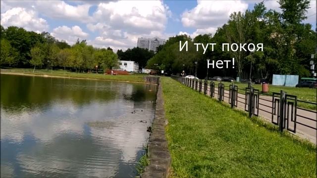 Утиная верность смотреть онлайн