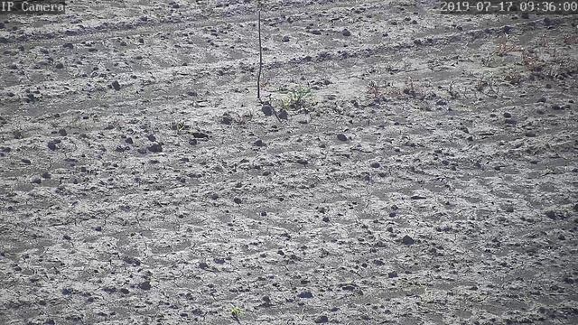 DHSC solar power 4G PTZ camera 4X zoom смотреть онлайн