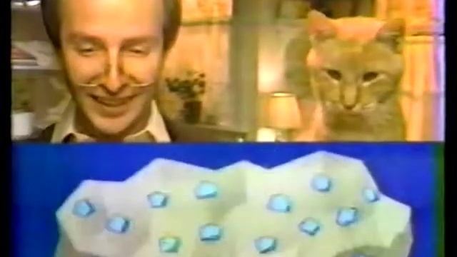 1984 Fresh Step Commercial смотреть онлайн