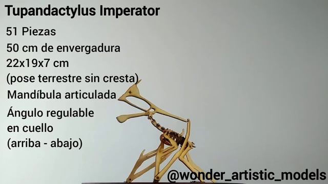 Tupandactylus Imperator | WONDER Artistic Models смотреть онлайн