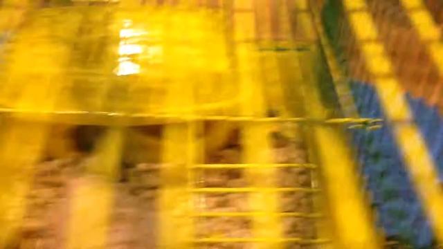 Моя новый хомяк Маша!!!!!) смотреть онлайн