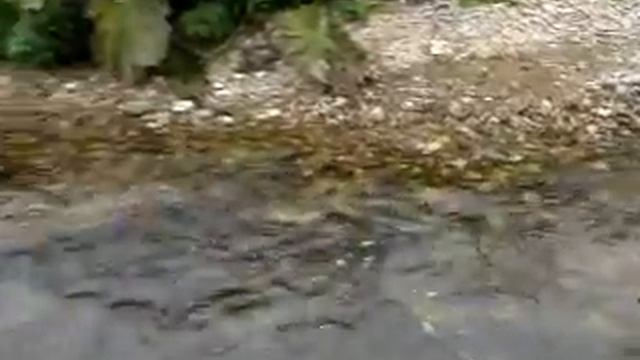 fishing смотреть онлайн