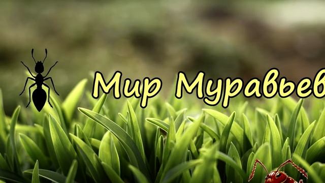 Новое интро канала.(2) смотреть онлайн