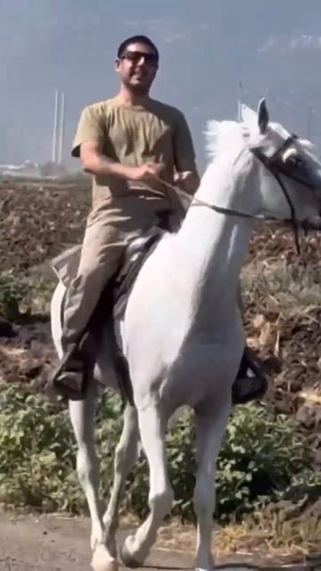 #лошади #конь #horse #horses #att#horsesaremylife #arabianhorse #arabianhorseshow #relaxingmusic смотреть онлайн