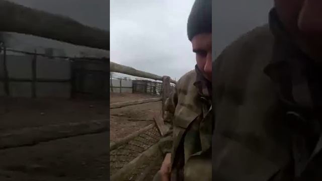 Тимон Пумба где пр$%бал смотреть онлайн