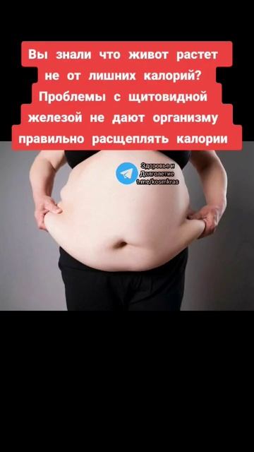 вы знали, что живот растет не от лишних калорий!? #народнаямедицина #здоровье #зож #долголетие смотреть онлайн