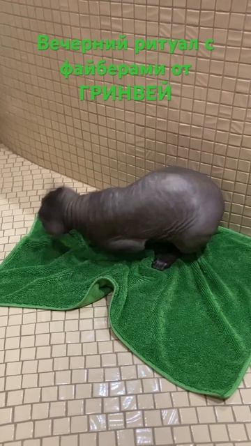 6 сентября 2023 г. смотреть онлайн