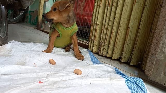 Bé Bi ăn bánh thơm ngon quá смотреть онлайн
