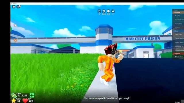 Играю в мет кити смотреть онлайн