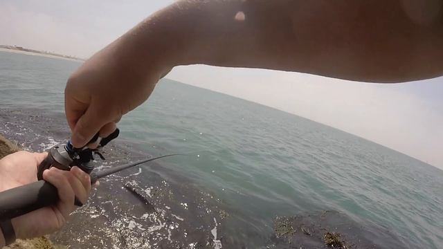 Channel Islands Harbor! Barracuda, Sand Bass, Calico Bass смотреть онлайн