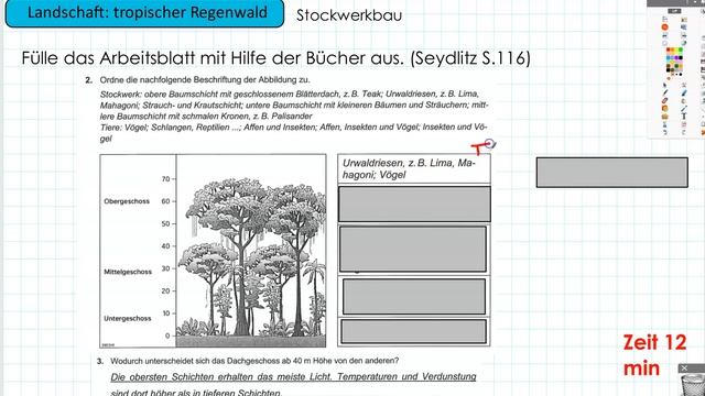 Geographie Klasse 8 - Tropischer Regenwald Teil 3 смотреть онлайн