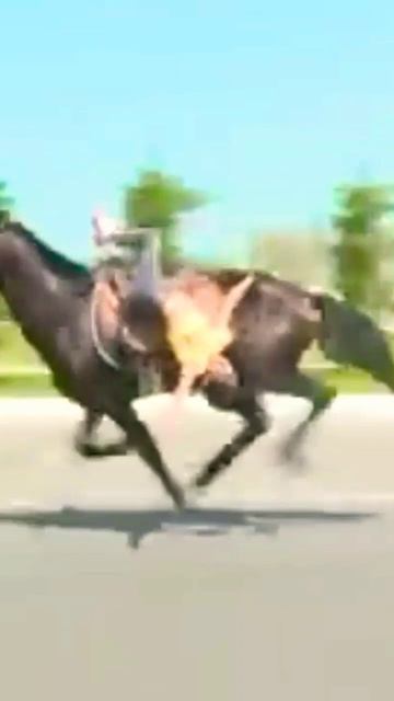 little girl horse racing ll short video смотреть онлайн