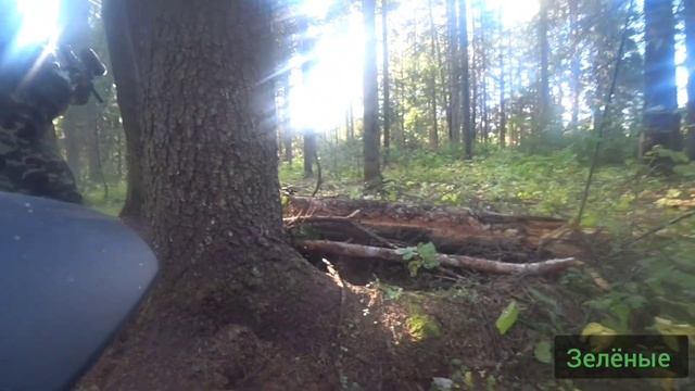Клип, играем в Пейнтбол смотреть онлайн