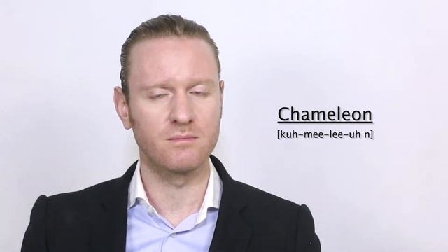 Chameleon - Meaning | Pronunciation || Word Wor(l)d - Audio Video Dictionary смотреть онлайн