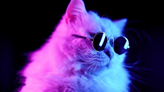 Кот Саторо Годжо [Wallpaper Engine ] смотреть онлайн