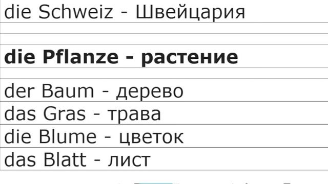 Словарный запас Уровень Б1 - B1 - - немецкий язык для продвинутых