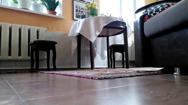 Мамонт по утру смотреть онлайн