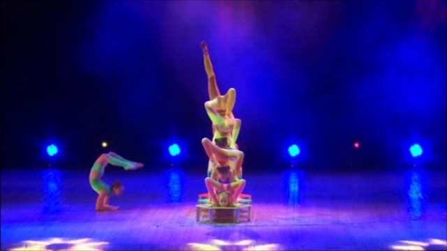 ЦИРК МАУГЛИ. CIRCUS MAUGLI - КОШКИ. CATS