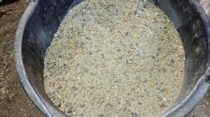 Готовим несушек к инкубации